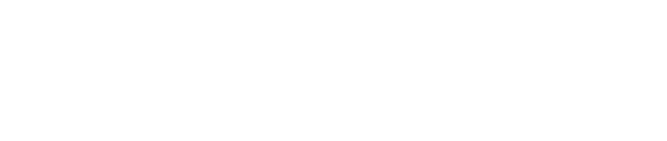 Corporación del Sur